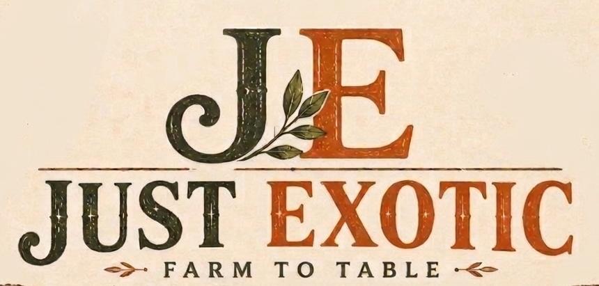 JustExotic Logo